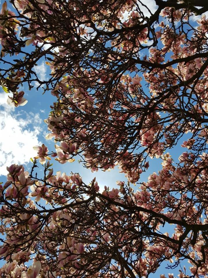 Penzion Relax Kadaň Dış mekan fotoğraf